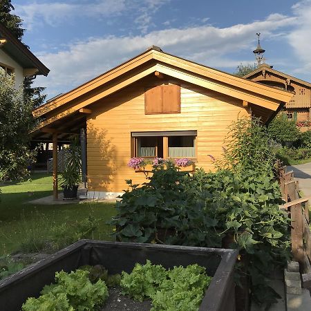 Ferienhaus Hofwimmer Kirchberg in Tirol Kültér fotó