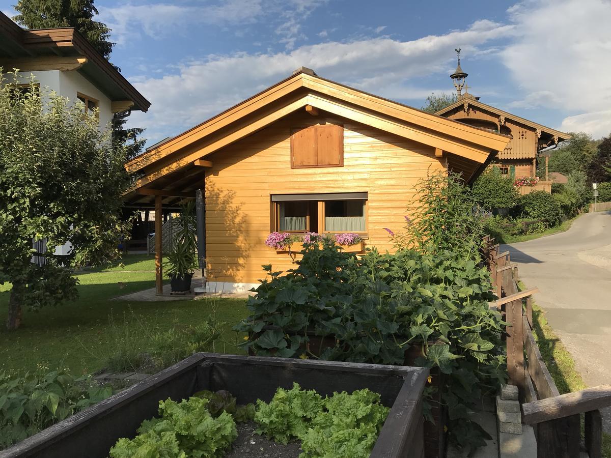 Ferienhaus Hofwimmer Kirchberg in Tirol Kültér fotó